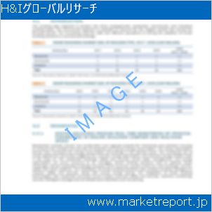市場と産業調査レポートのイメージ